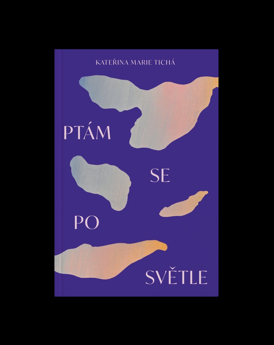 Ptám se po světle: druhá básnická sbírka